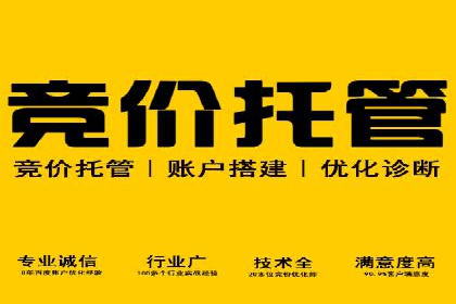 百度竞价排名案例研究：如何制定有效的广告计划？